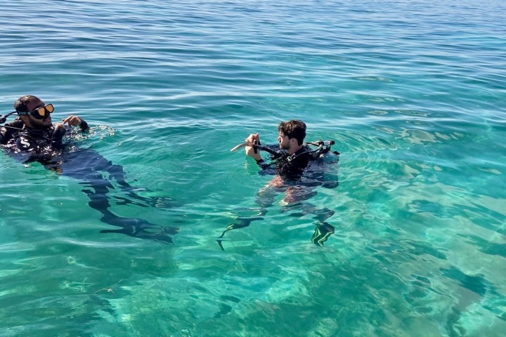 Two scuba divers in clear blue water near the surface.