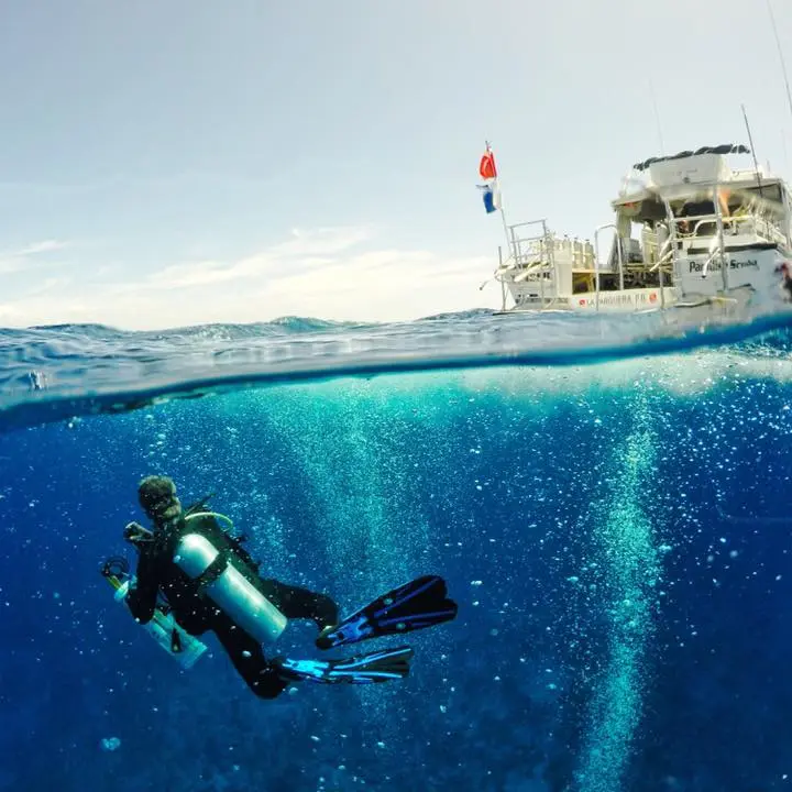 A diver trailing behind the boat