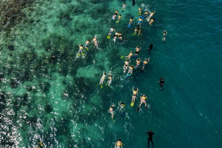 People snorkeling in clear blue ocean water above coral.
