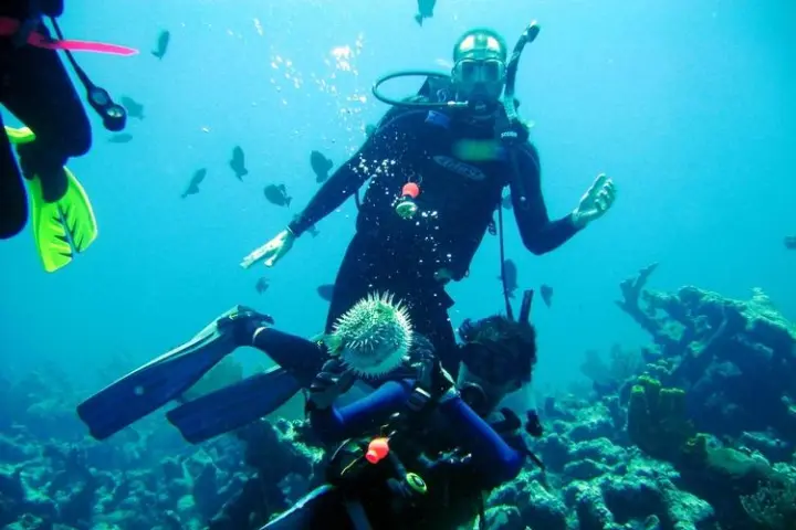 Two divers enjoying the local wildlife