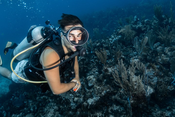 Scuba diver swimming over coral reef in clear blue water.