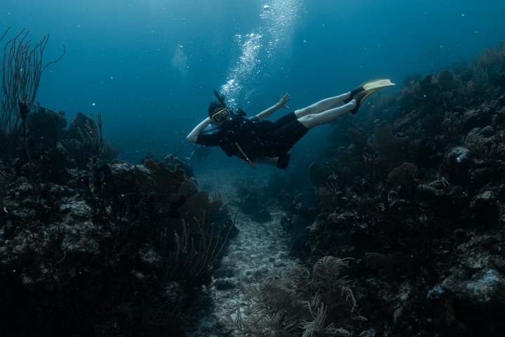 Scuba diver swimming underwater over coral reef.