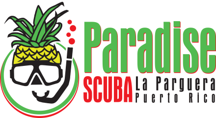 Paradise Scuba & Snorkeling Center