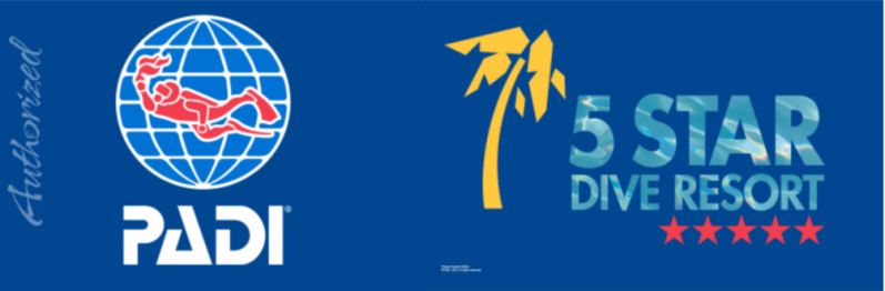 PADI logo and '5 Star Dive Resort' text with palm and stars on blue background.