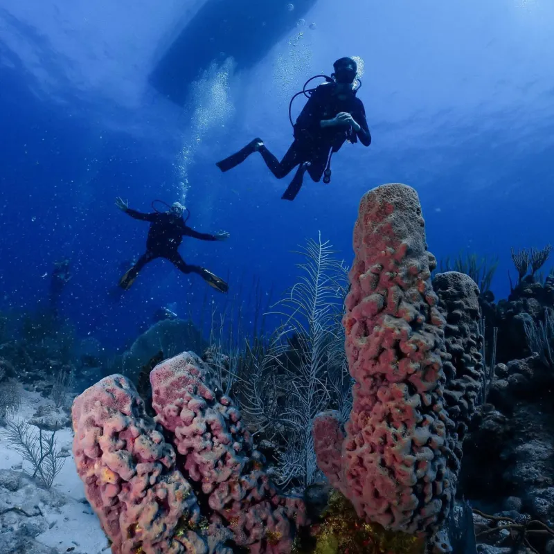 a person doing a trick on a rock