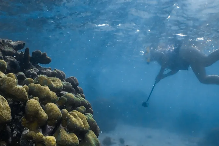 a person that is standing in the water