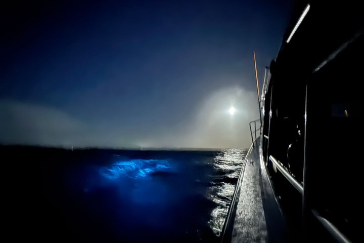 Night view from boat, moon illuminating water with blue glow.