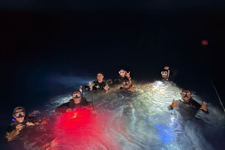 Group of scuba divers with lights, floating on water at night.