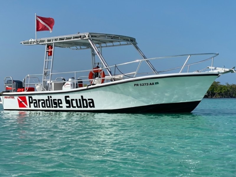 Scuba diving boat on clear blue water with tree-lined shore in background.