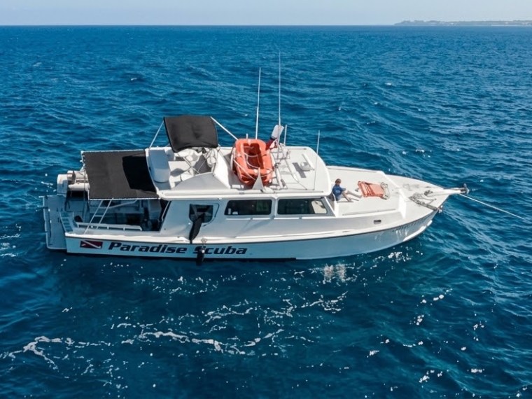 A boat named 'Paradise Diver' on a calm, vast blue ocean under a clear sky.